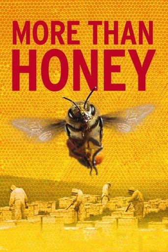Movie poster for More Than Honey (2012)