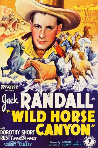 Movie poster for Wild Horse Canyon (1938)