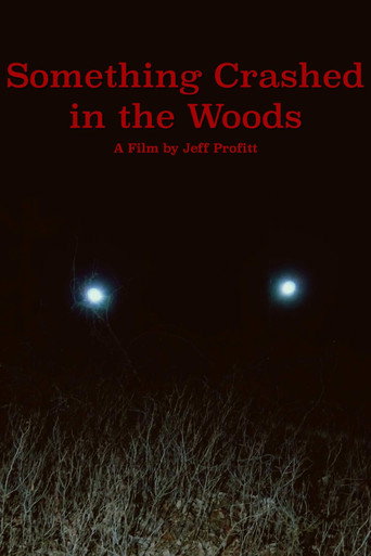 Movie poster for Something Crashed in the Woods (2019)