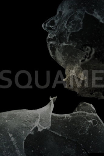 Movie poster for Squame (2015)