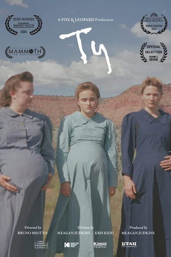 Movie poster for Ty (2020)