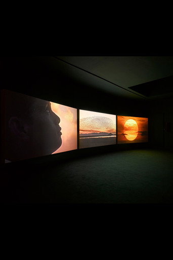 Four Nocturnes poster