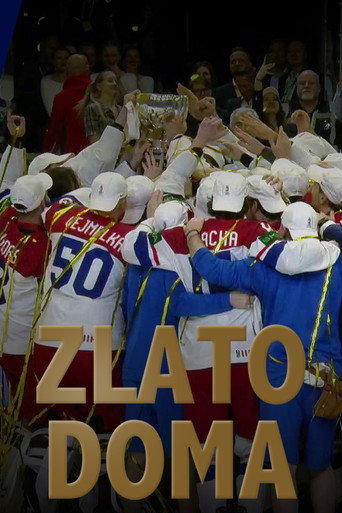 Movie poster for Zlato doma (2024)