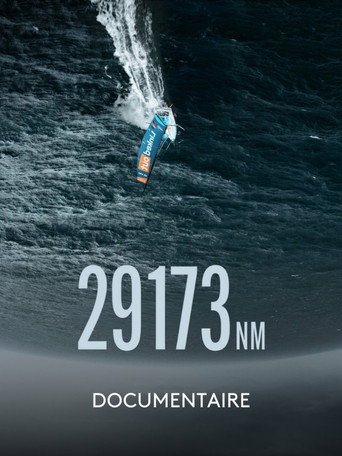 Movie poster for 29 173 NM