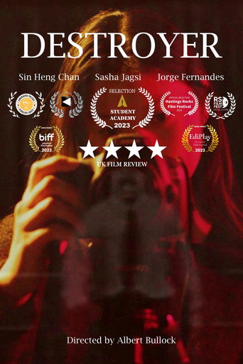 Movie poster for Destroyer (2024)