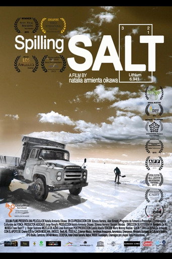 Movie poster for Spilling Salt (2015)