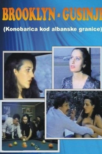 Movie poster for Brooklyn - Gusinje (1988)