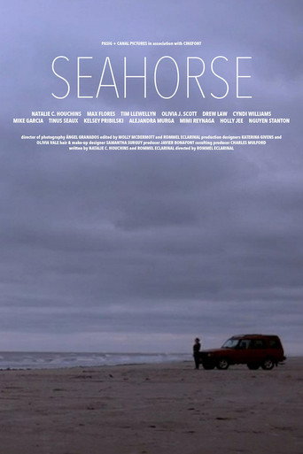 Movie poster for Seahorse (2022)