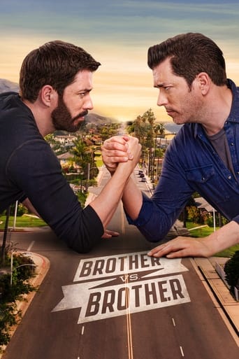 Series poster for Brother vs. Brother (2013)