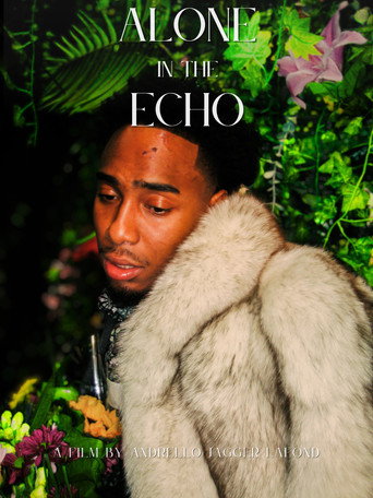 Movie poster for Alone in the Echo