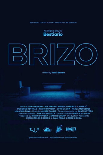 Movie poster for Brizo (2022)