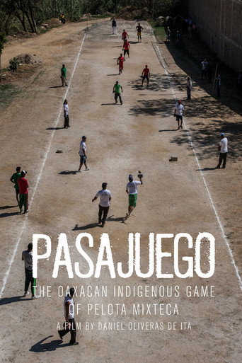 Movie poster for Pasajuego (2019)