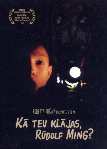 Movie poster for How Are You Doing, Rudolf Ming? (2010)