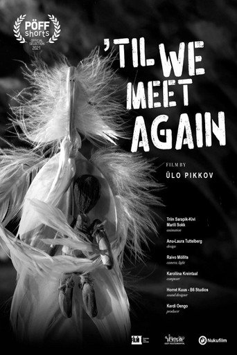 Movie poster for Till We Meet Again (2021)