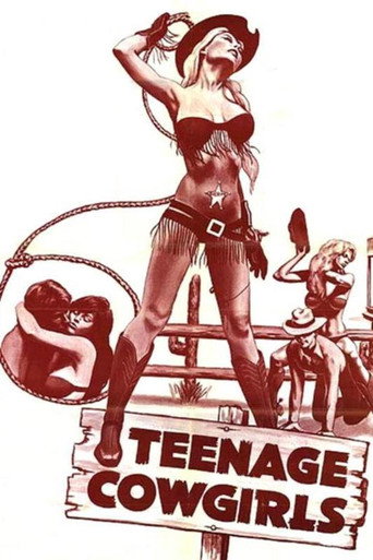 Movie poster for Teenage Cowgirls (1973)
