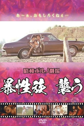 Movie poster for Violent Gang Attacks (1979)