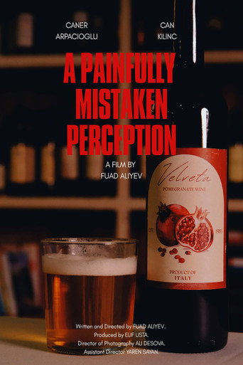 Movie poster for A Painfully Mistaken Perception (2026)