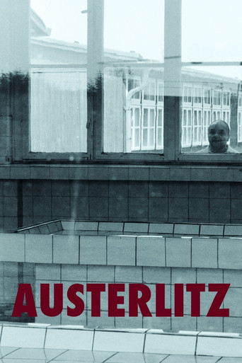 Movie poster for Austerlitz (2016)