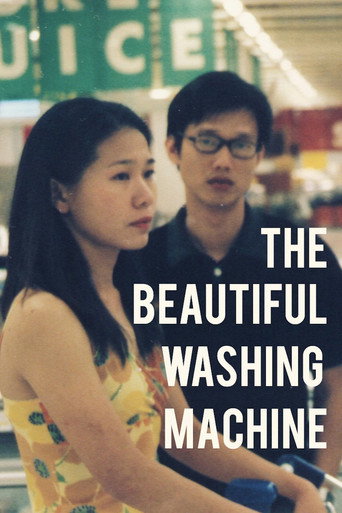 Movie poster for The Beautiful Washing Machine (2004)
