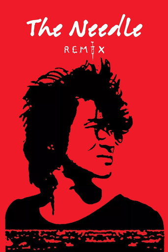 Movie poster for The Needle Remix (2010)