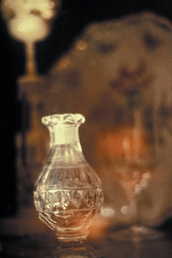 Movie poster for First Memory (1981)