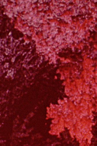 Movie poster for 600 Minutes: Magenta (2025)