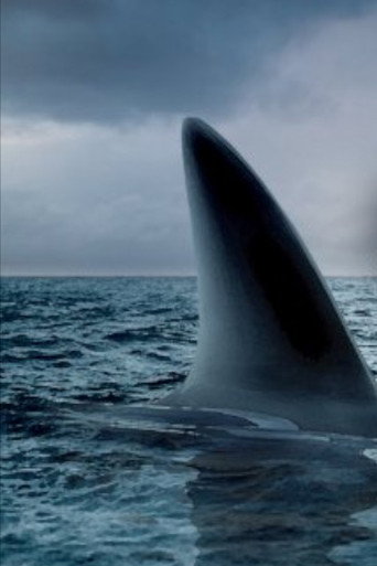 Movie poster for Ocean of Fear (2007)