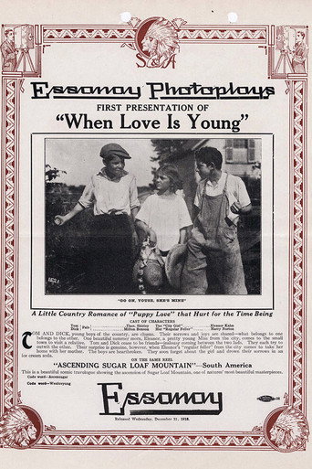 Movie poster for When Love is Young (1913)