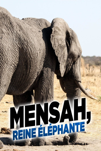 Movie poster for Elephant Queen (2014)