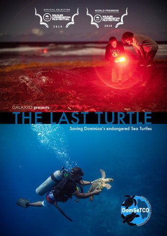 Movie poster for The Last Turtle (2019)
