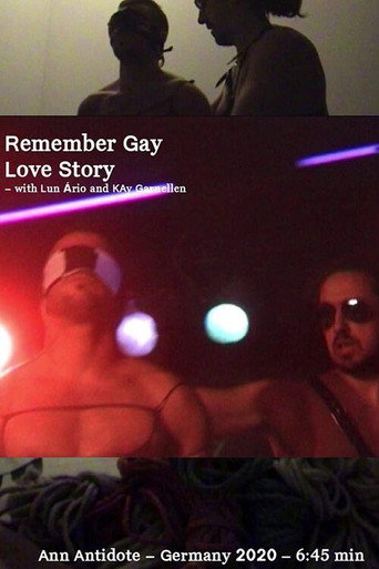 Movie poster for Remember Gay Love Story (2012)