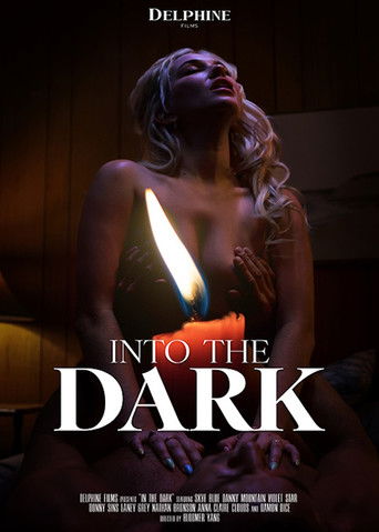 Into the dark poster
