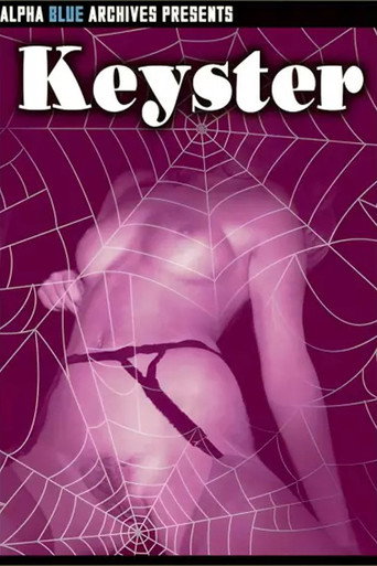 Movie poster for Keyster