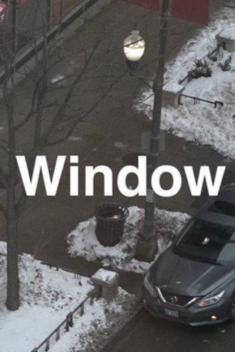 Movie poster for Window (2022)