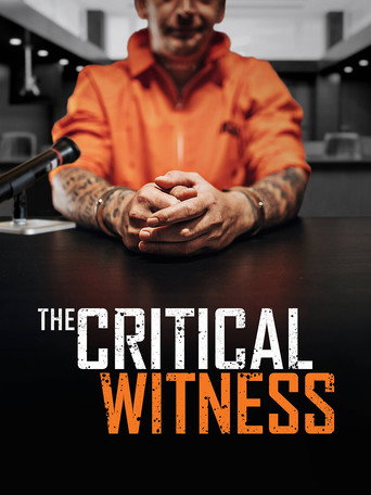 Movie poster for The Critical Witness (2021)