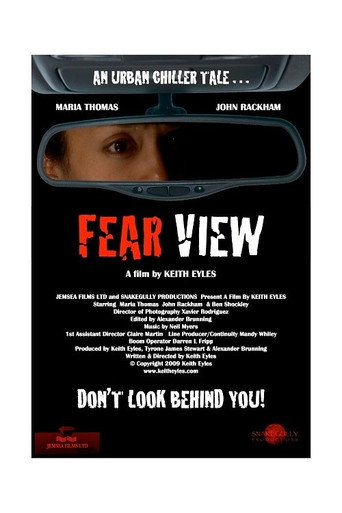 Movie poster for Fear View (2012)