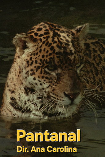 Movie poster for Pantanal (1971)