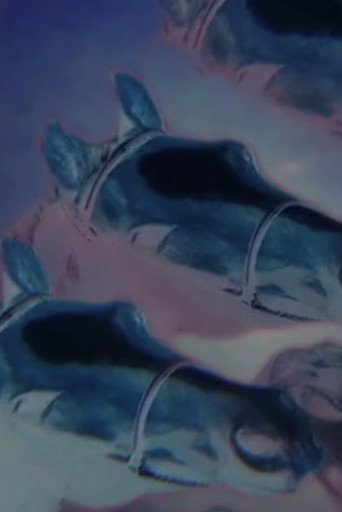 Movie poster for Drowning Horses