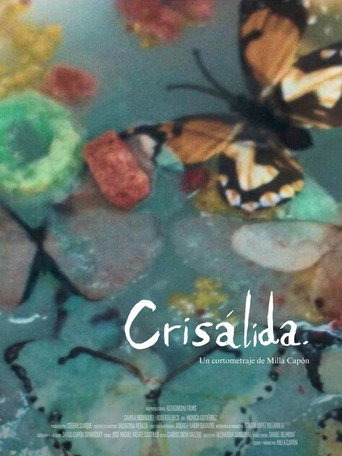 Movie poster for Crisálida