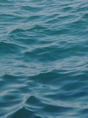 Movie poster for Water Diary (2026)