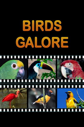 Movie poster for Birds Galore (2012)