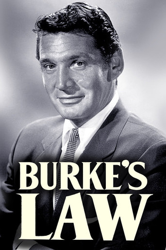 Burke's Law poster