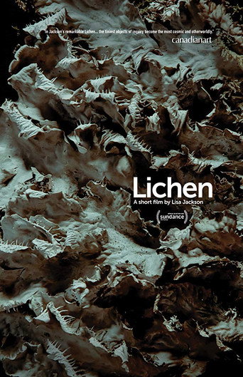 Movie poster for Lichen (2019)