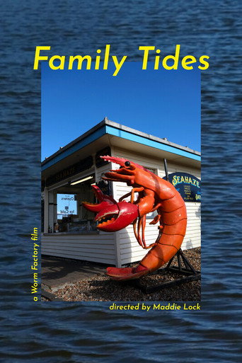 Movie poster for Family Tides