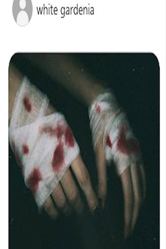 Movie poster for Knight In Service To Her Majestys Bloodied Knees (2025)