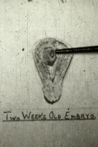 The Creation Of Life poster