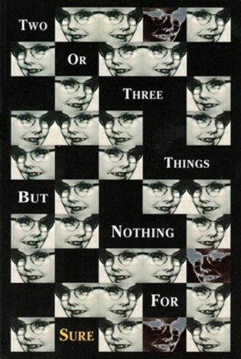 Movie poster for 2 or 3 Things But Nothing for Sure (1997)