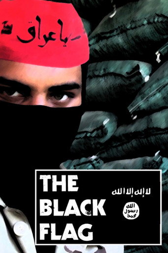 Movie poster for The Black Flag (2015)