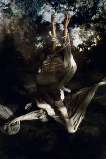Movie poster for La festa delle rose (2005)