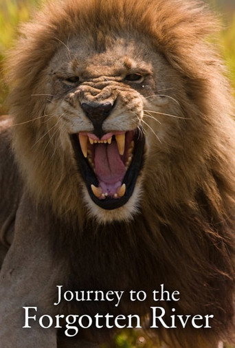 Journey to the Forgotten River poster